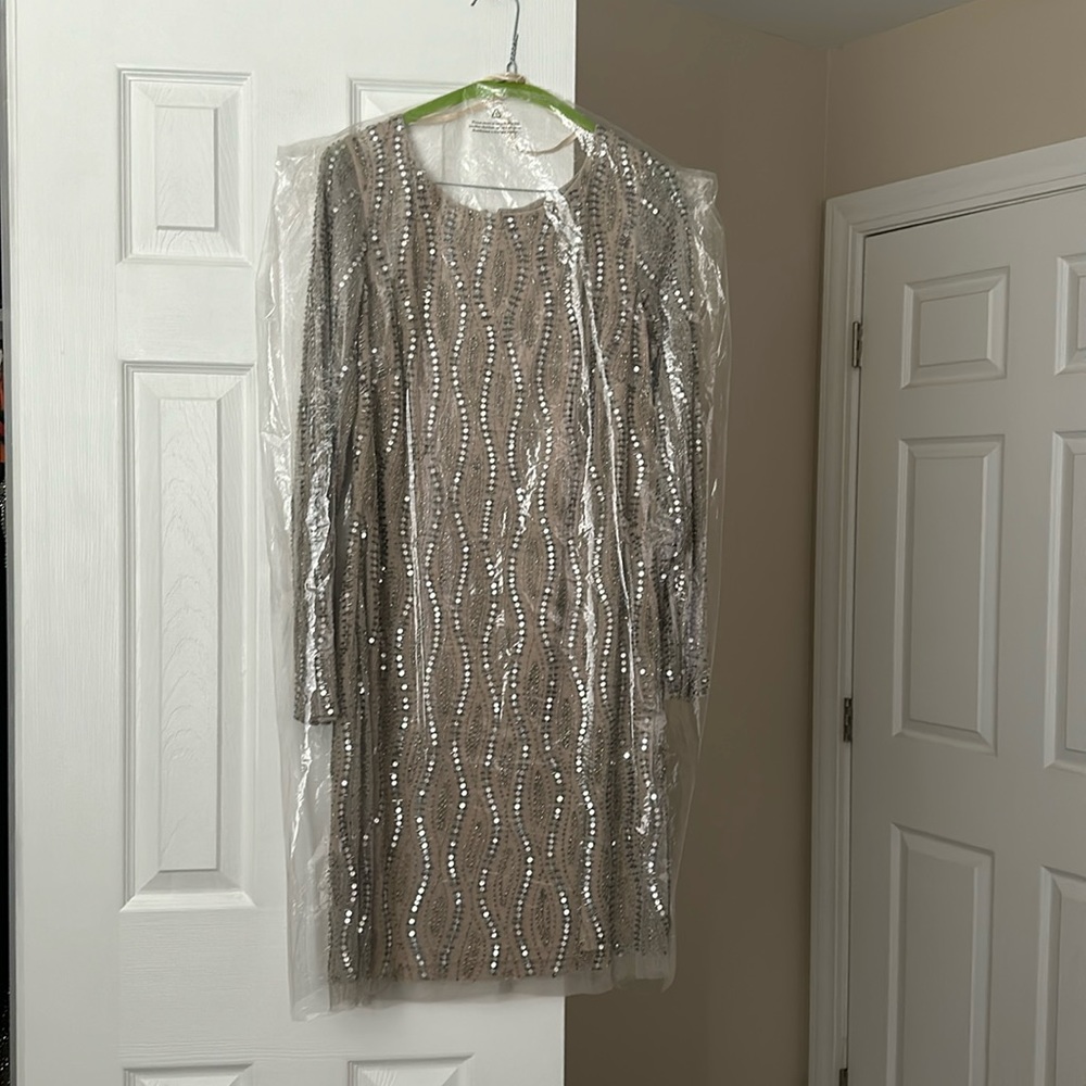 Adrianna Papell Sequin Dress